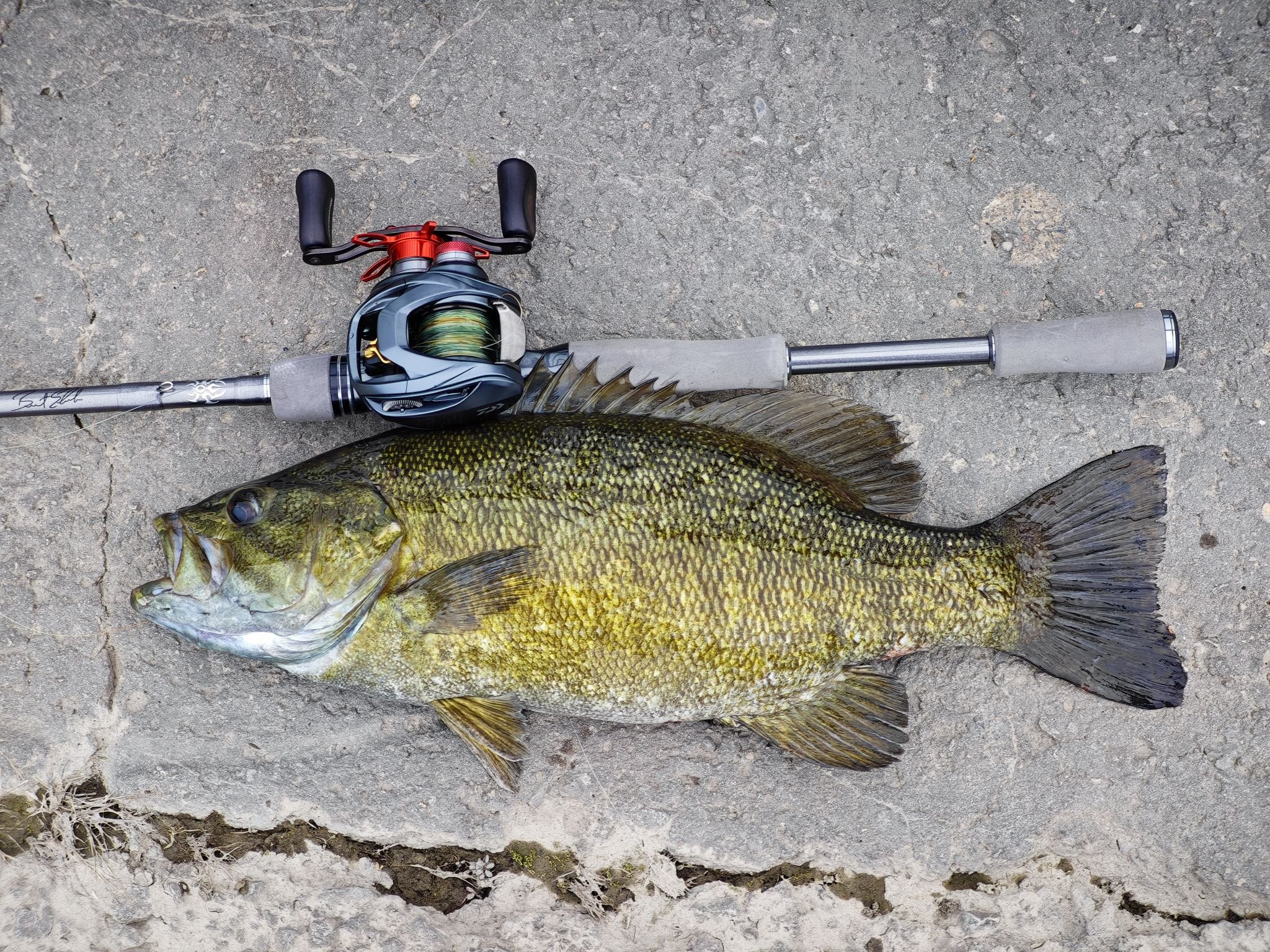 dream of fishing pole CAST 810 Rod (3-18g)  MiFine Engineered from 30T carbon fiber for control and speed  the ZEUSX is the ultimate Dreamcatcher spinning rod. Gear | Pyramid Lake Fly