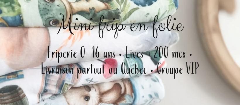 Mini frip en folie | Roberval QC