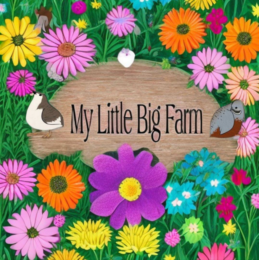 Rio-Grand-Valley Farm to market | **5 chicks available** | Facebook