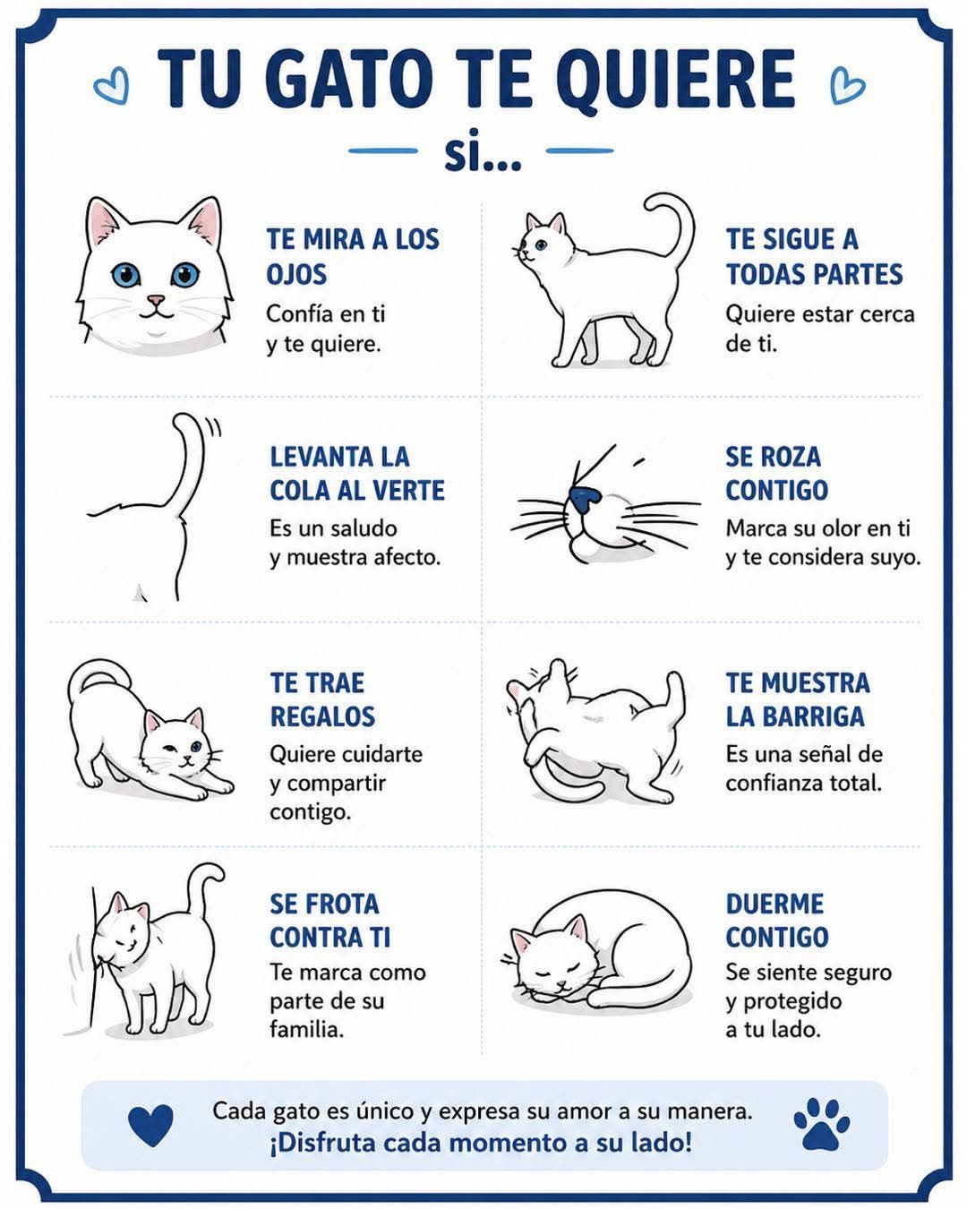 🐈‍⬛ ¡Novedad Mística! Figura Gato Guardián Gótico 💀 ¡Atención