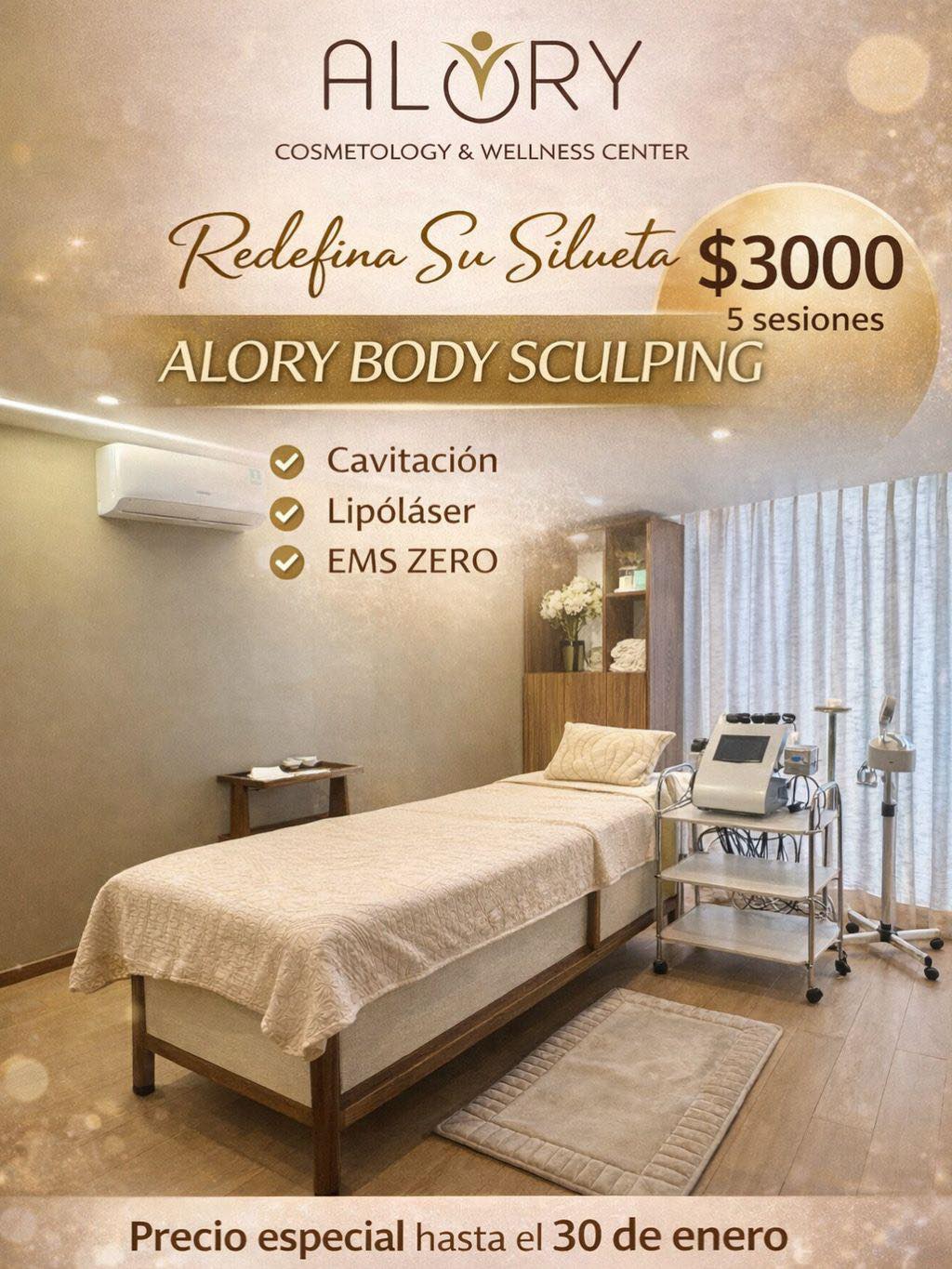 Alory - EMS Sculpting (también conocido como Electro Magnetic Sculpting ...