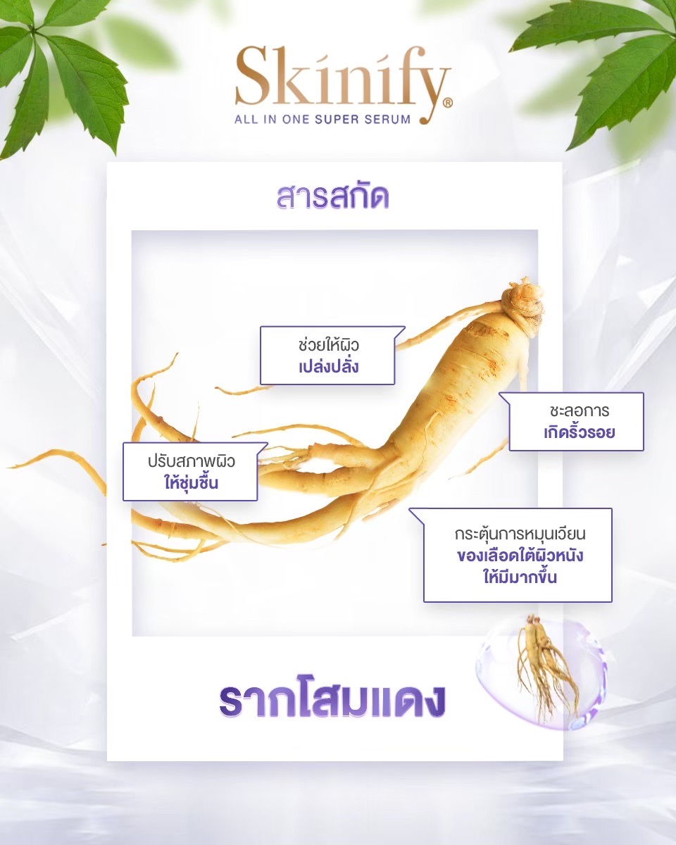 Skinify.official - รากโสมแดง สารสกัดที่เข้มข้นจากธรรมชาติ 🍃 - ช่วยให้ ...