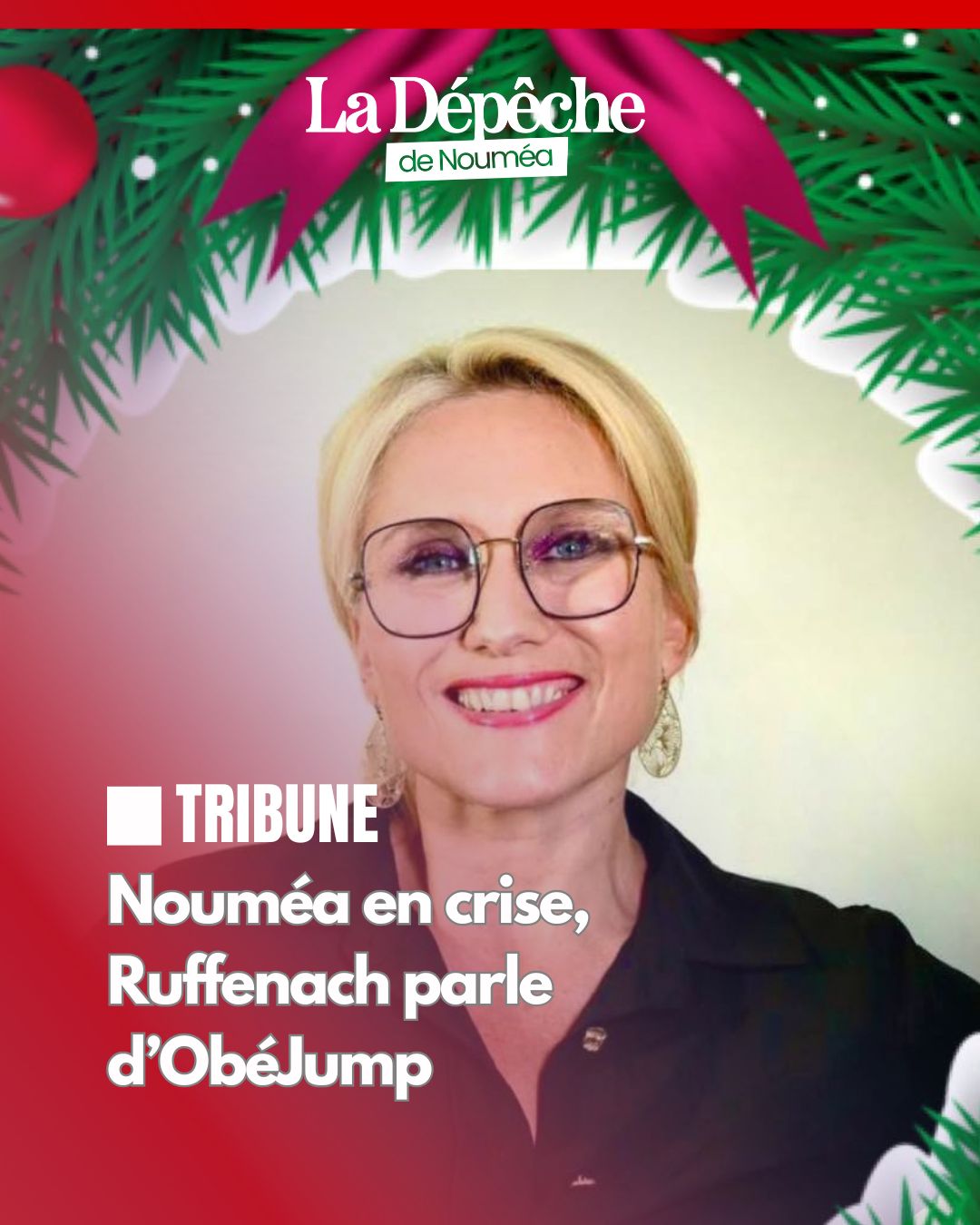 municipales-noum-a-les-chiens-la-d-p-che-de-noum-a-facebook