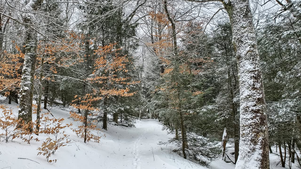 I Love - A chilly - yet beautiful - day for a hike at Mountain Lake ...