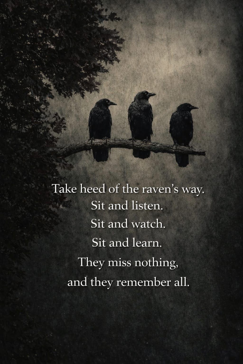 Raven - Take heed of the raven’s way. Sit and listen. Sit and watch ...