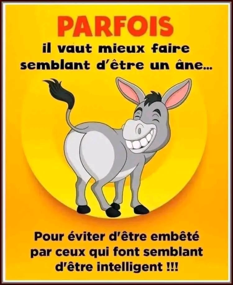 Sitemapcdatahttpsbloginf Inetcomcitation Humour Noirnull
