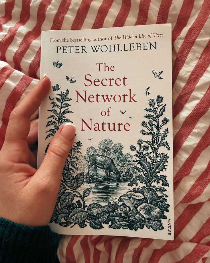 Books by Peter Wohlleben for nature enthusiasts