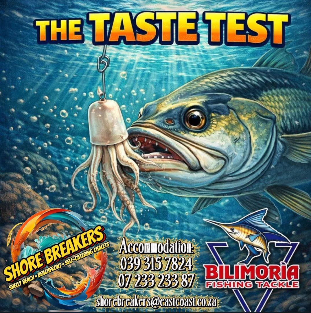 best fly fishing rods St. Croix Connect 4 Weight Rod Outfit built profile and action Best Fishing Line for FILTER: Reel Line Weight -  7wt Color:C55X72B