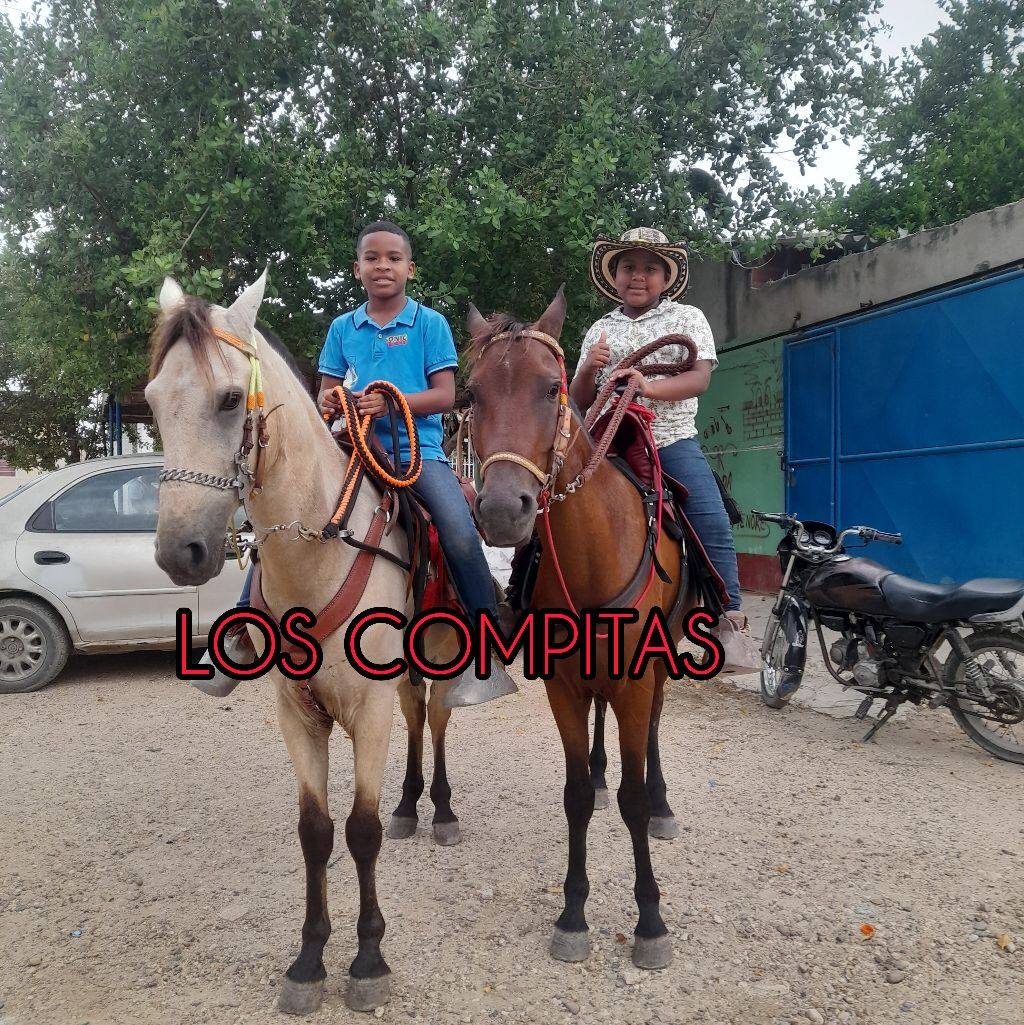 Los Compita