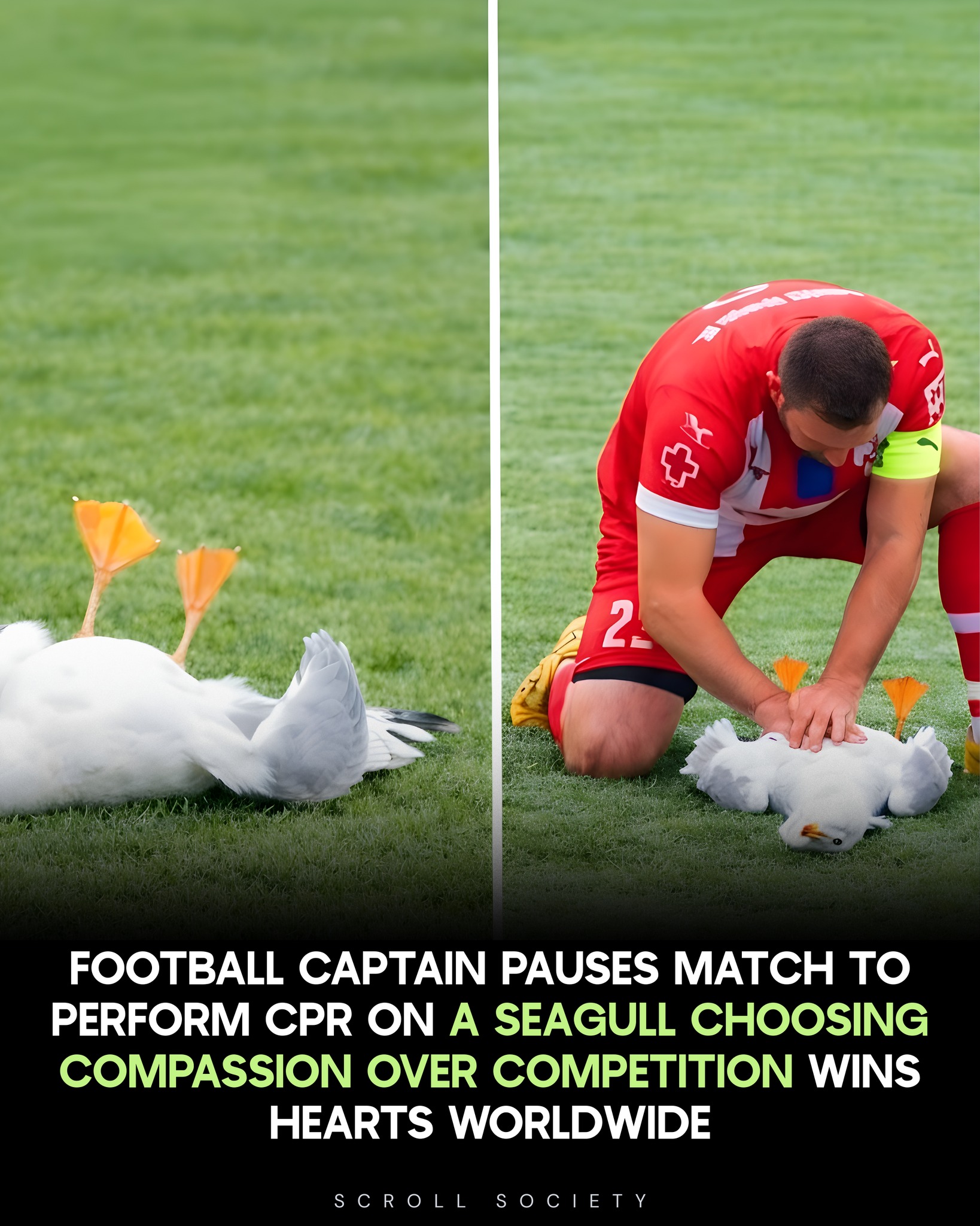 Scroll Society - An amateur football match in Turkey took... | Facebook