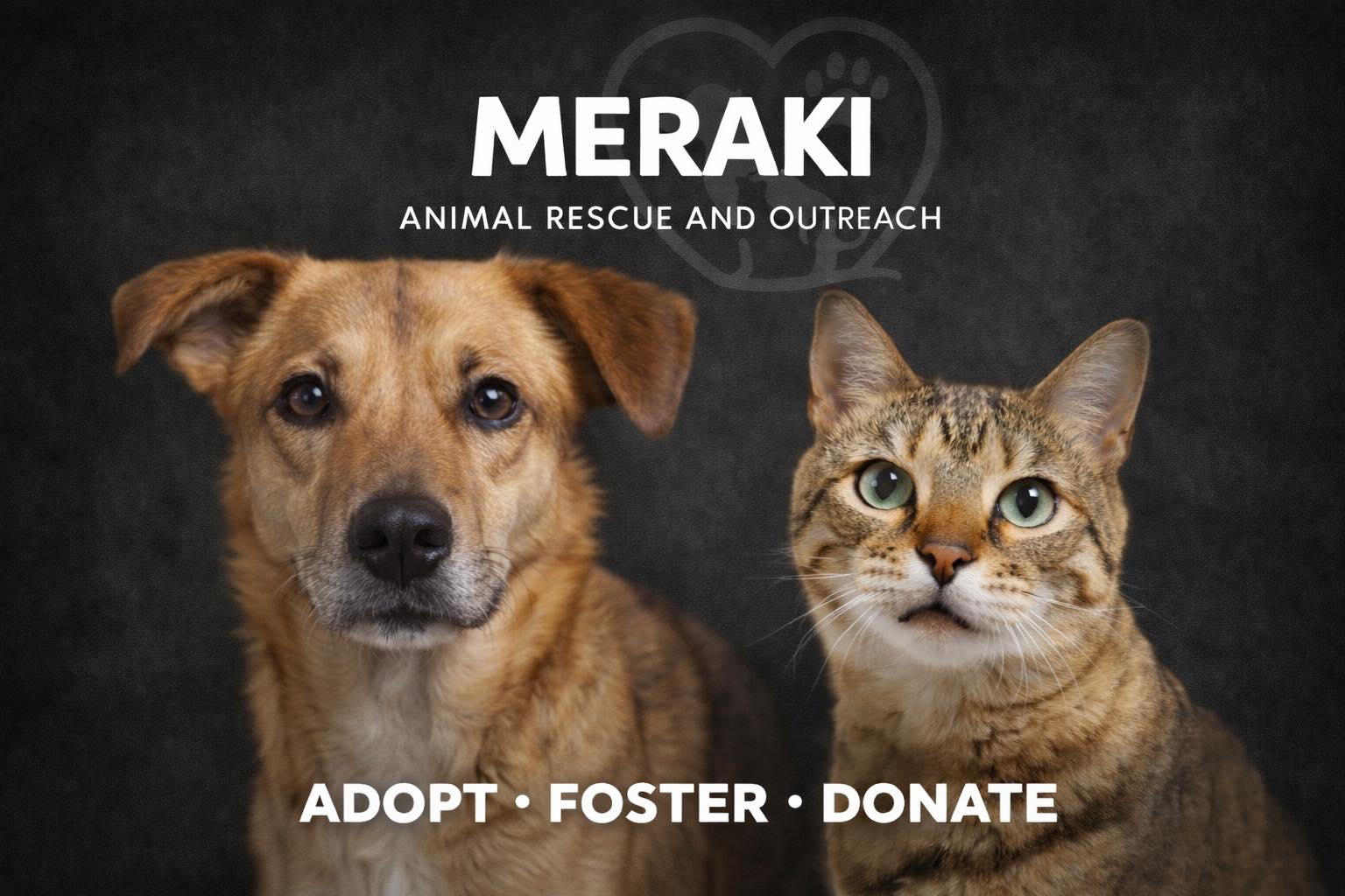 Meraki Animal Rescue & Outreach | Raeford NC