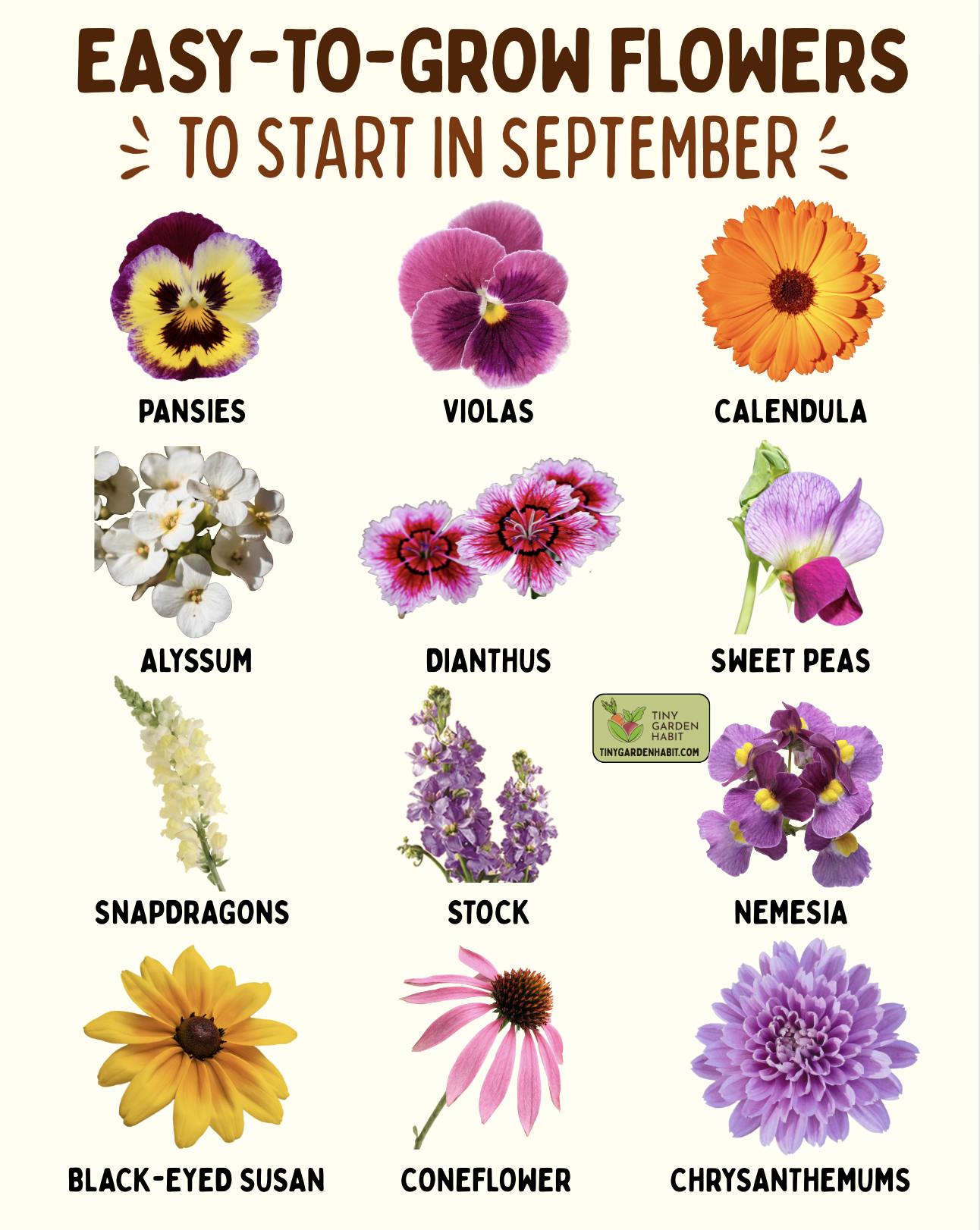 A mix of fall and spring bloomers to get in the ground in September ?