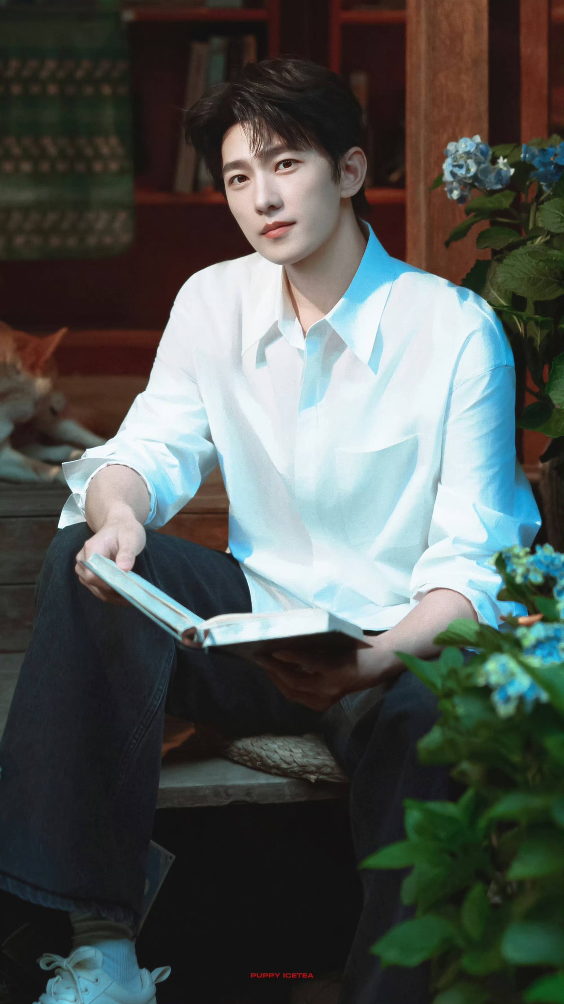 Yang Yang Overseas Fans - Yang Yang Overseas Fans Page