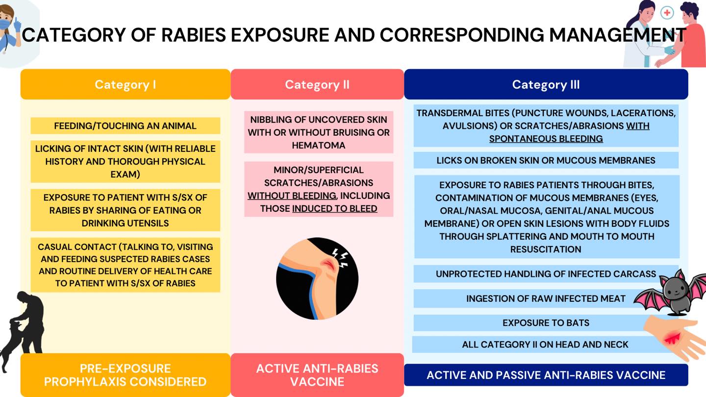 R & - 🦮 ALAMIN: Mga Kategorya ng Rabies Exposure at Karampatang ...