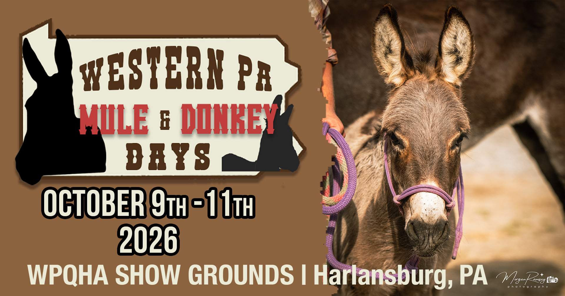 Western PA Mule & Donkey Days | New Castle PA