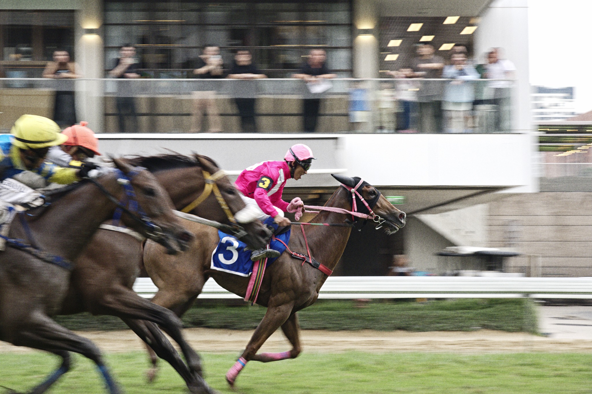 JRA（日本中央競馬会） - 2001年の宝塚記念(GI)を制したのは