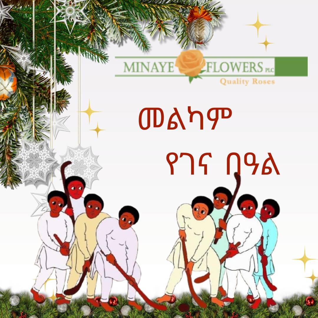 Minaye Flowers P.L.C