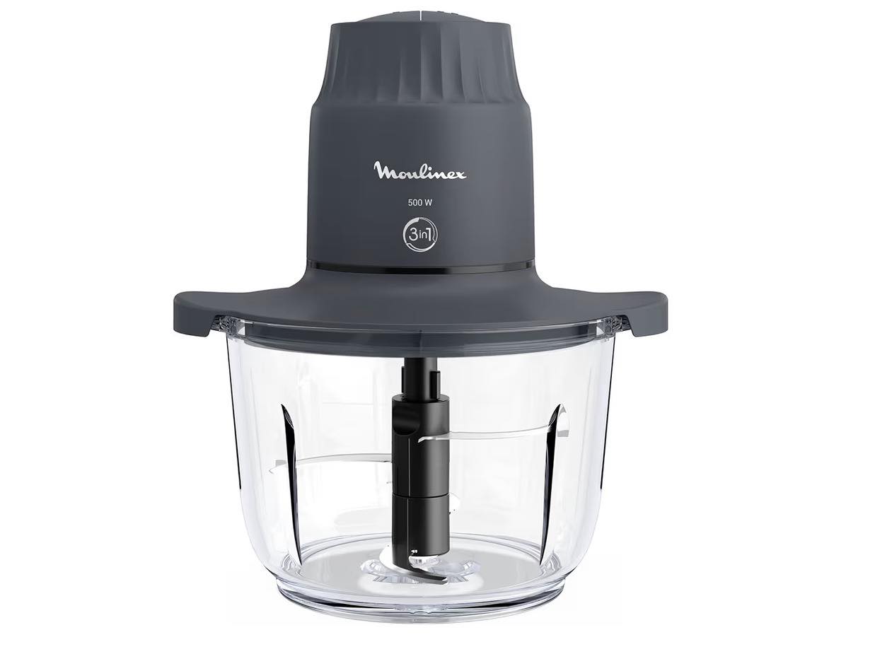 Moulinex Dailychef DD5521 Mixeur 2 en 1 2 vitesses, mixeur à main