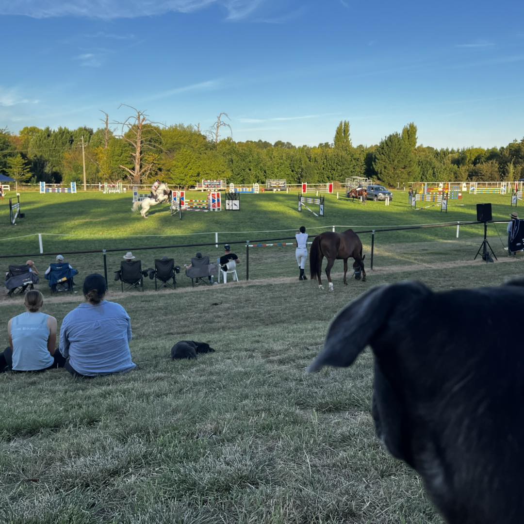 Canberra Stockfeeds - Powered by Neigh Hay