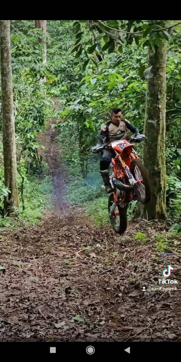 Sarip Sarip