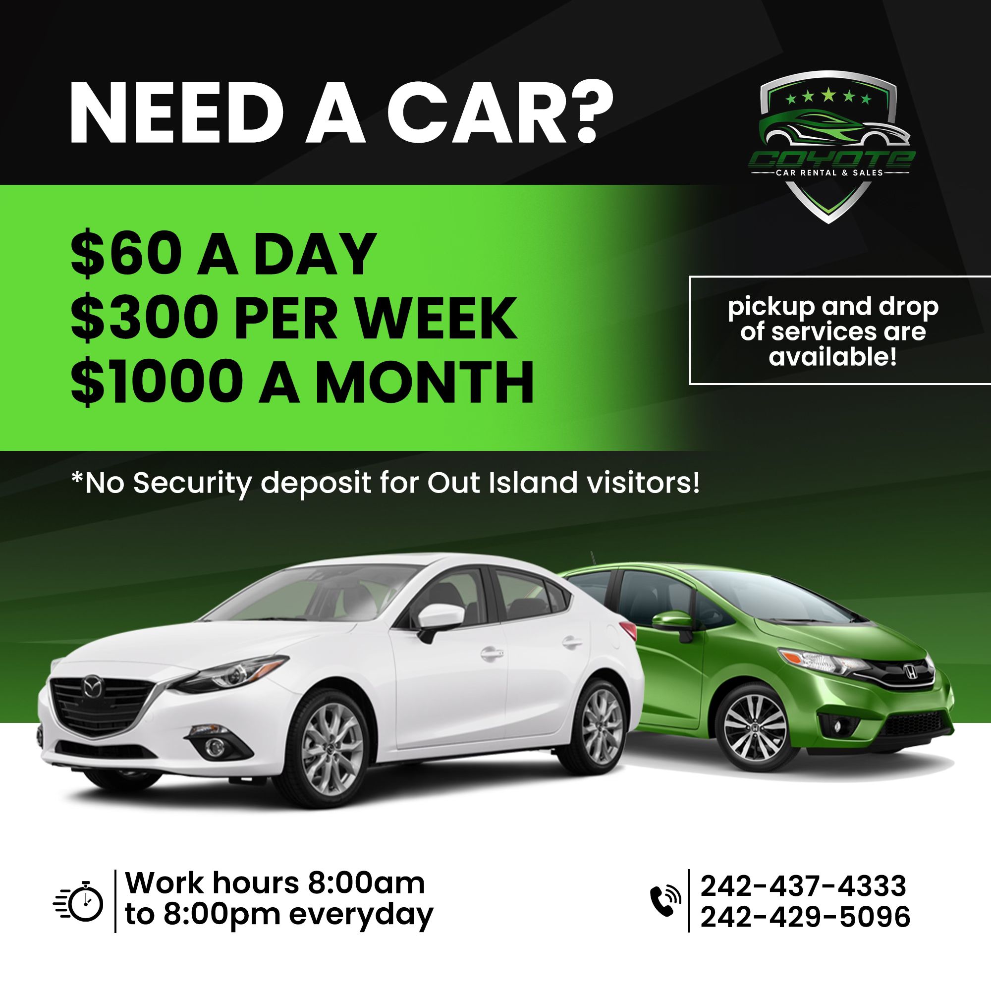 Coyote Car Rental | Nassau