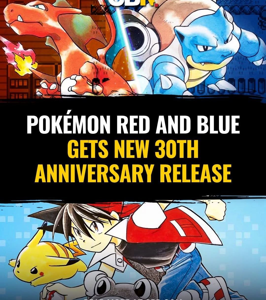 Pokémon 30th Anniversary Visual Artbooks (3 volumes / 1,480 pages