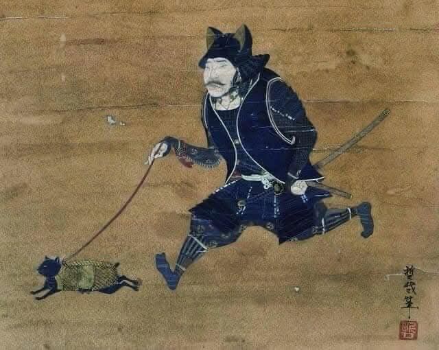 Meet Namazu, a black cat named after Japanese mythology