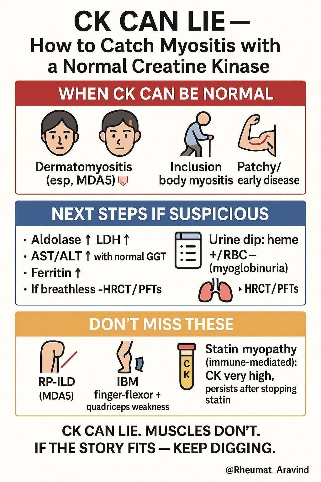 What disease causes progressive muscle weakness and elevated CK?