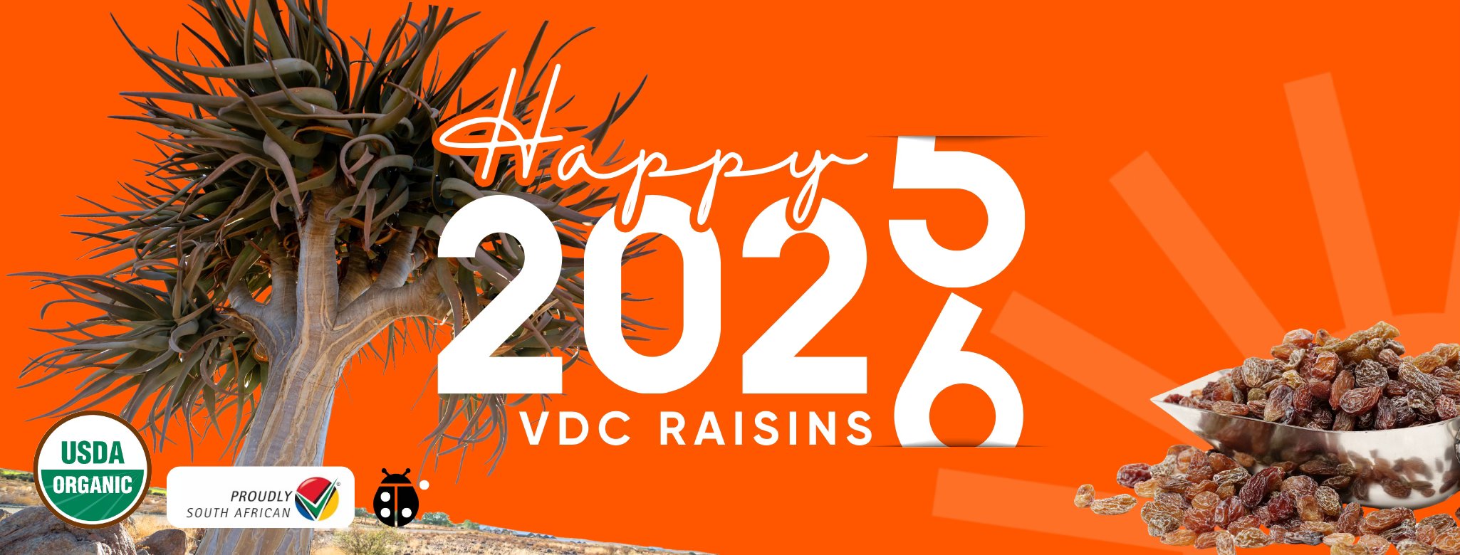 VDC Raisins | Upington