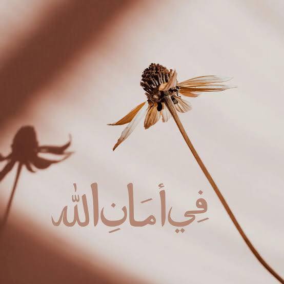 Fi-Amanillah–(في أمان الله) | Facebook