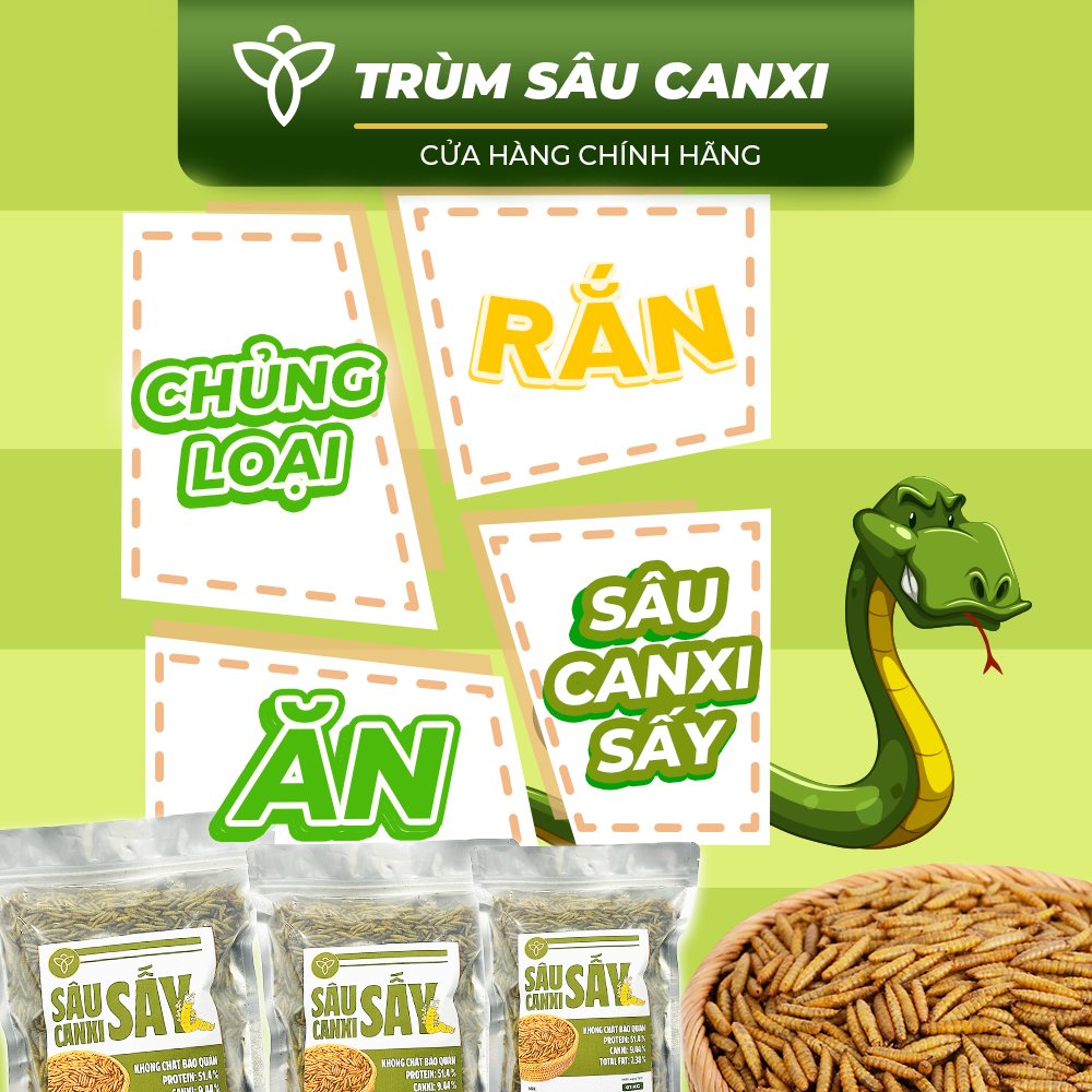 FGW - 🌿 🐍 Loài RẮN nào ăn được SÂU CANXI SẤY? 🤔 💚 Sâu Canxi (Ấu trùng ...