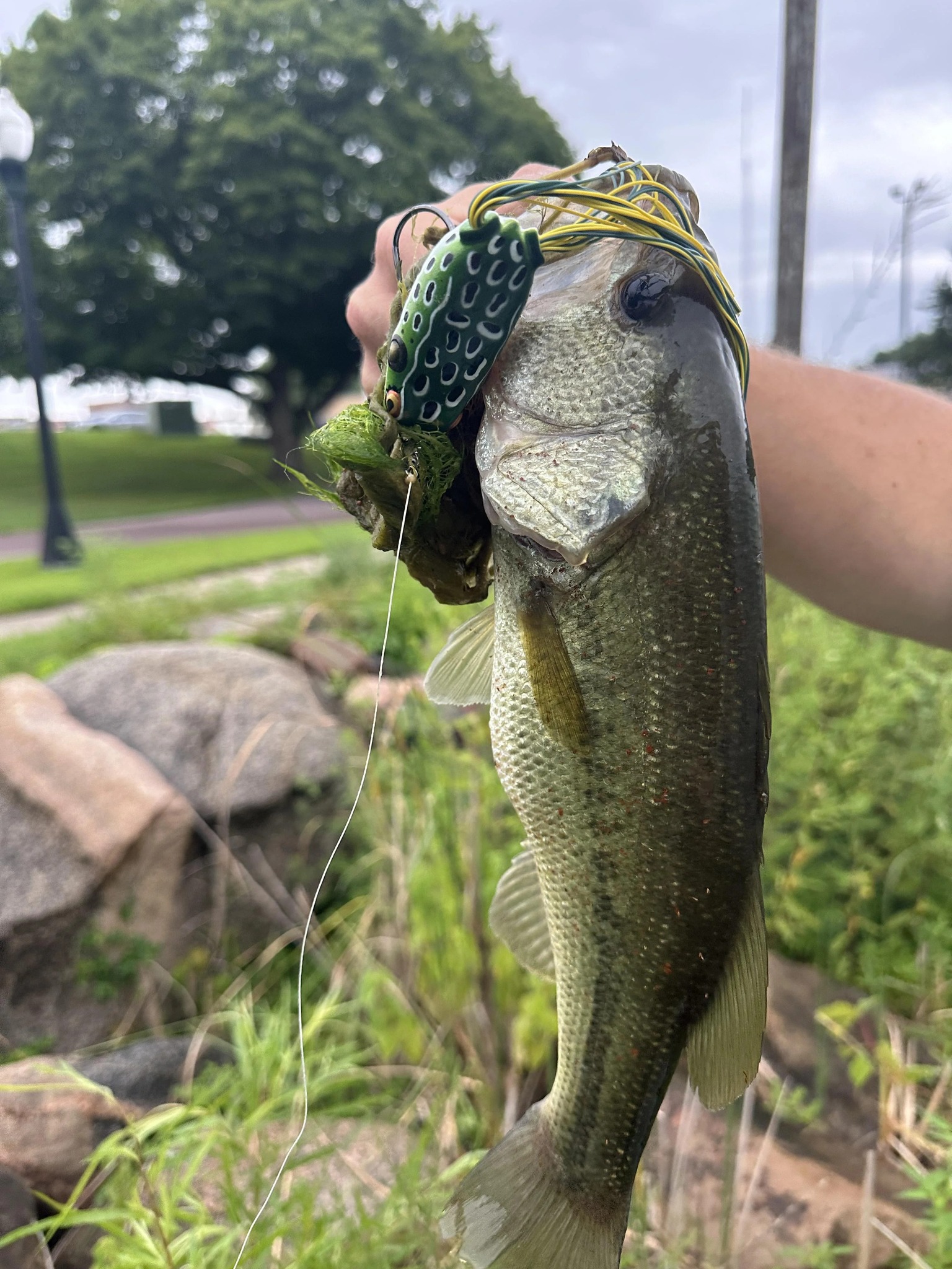 penn battle spinning reel btl 1000 Battle® III 8000 High-Speed Hot Sale 12cm 45g its a promise of super-glow-spoons-1 Model:TTCT100HS701MFB