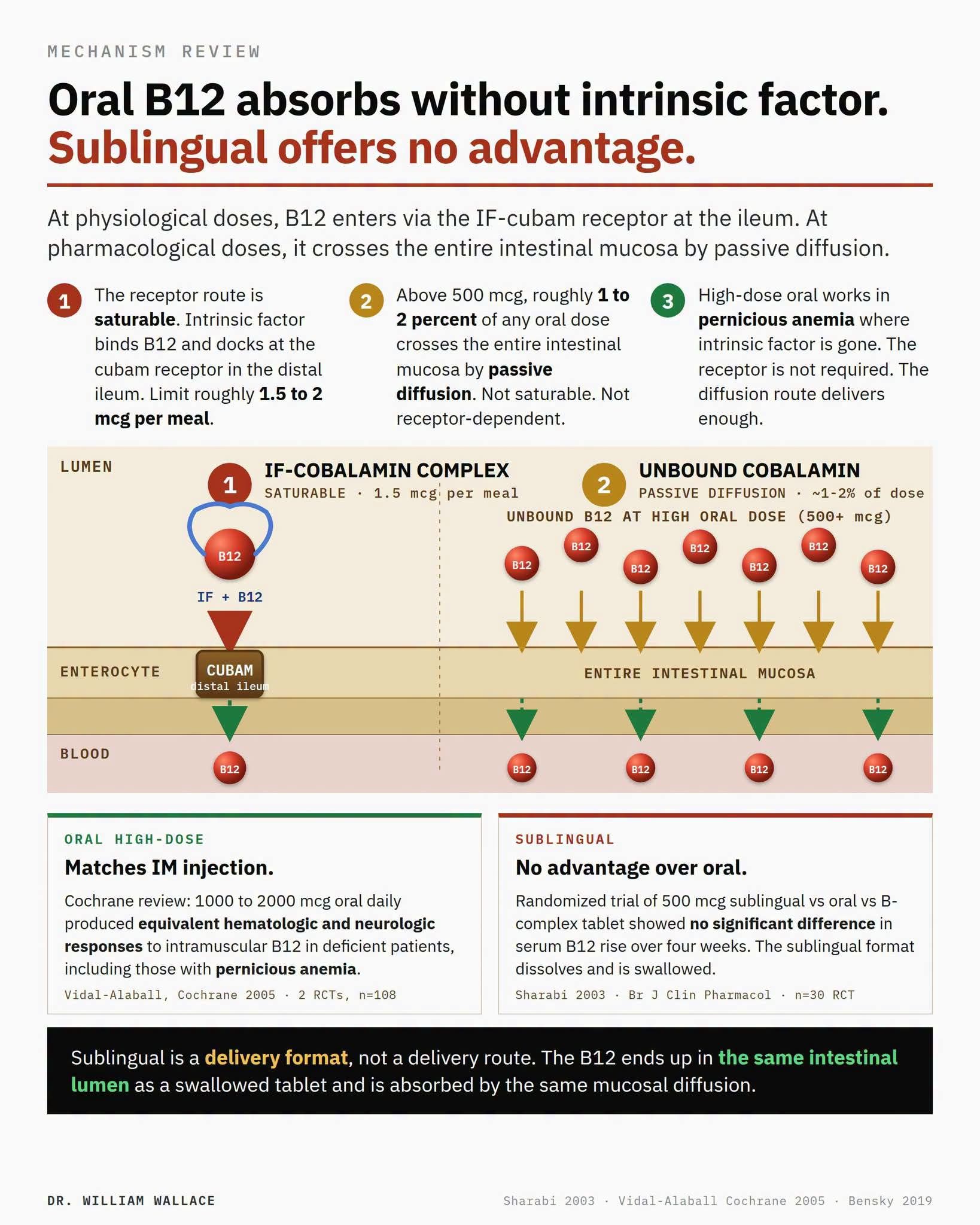 b12 injections vs sublingual Can Vitamin shots be taken subcutaneously like insulin? 5-Amino-1MQ Research: Dosing, Benefits peptide research material Style:Package of Six