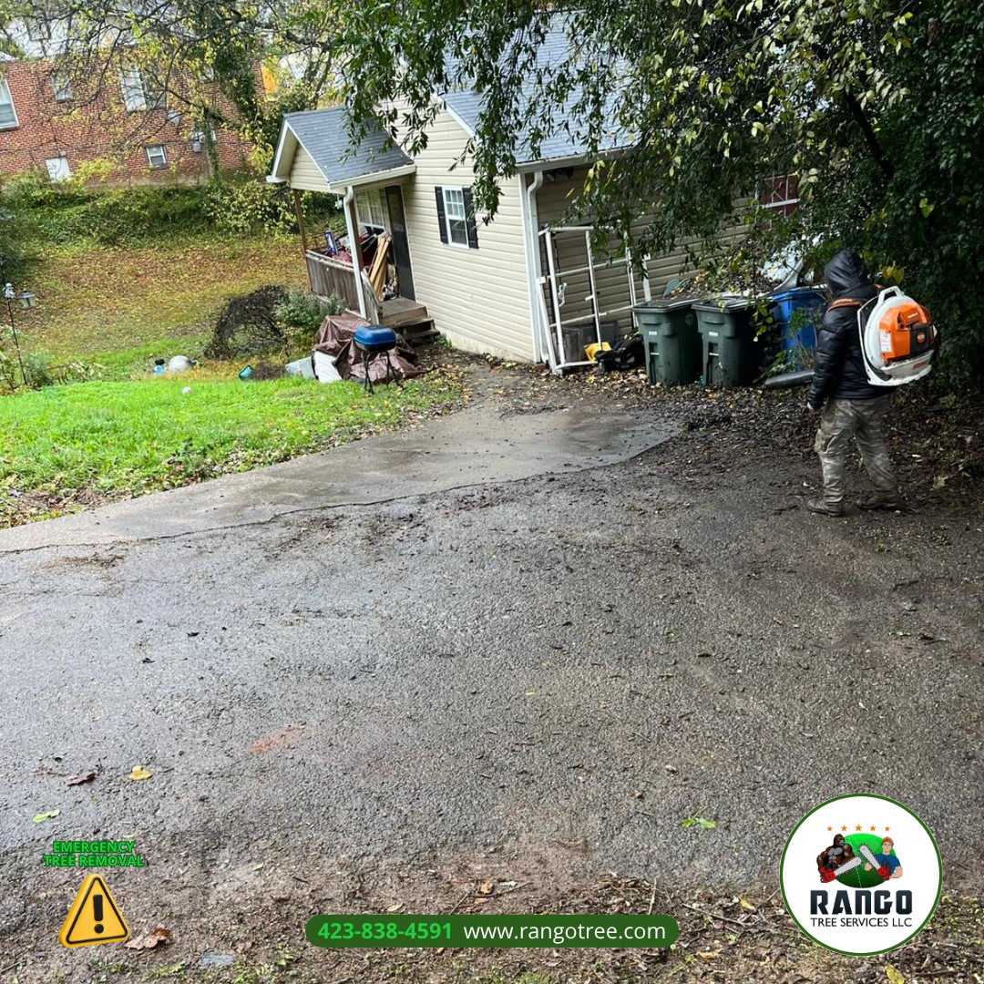 Rango Tree Services LLC | Chattanooga TN