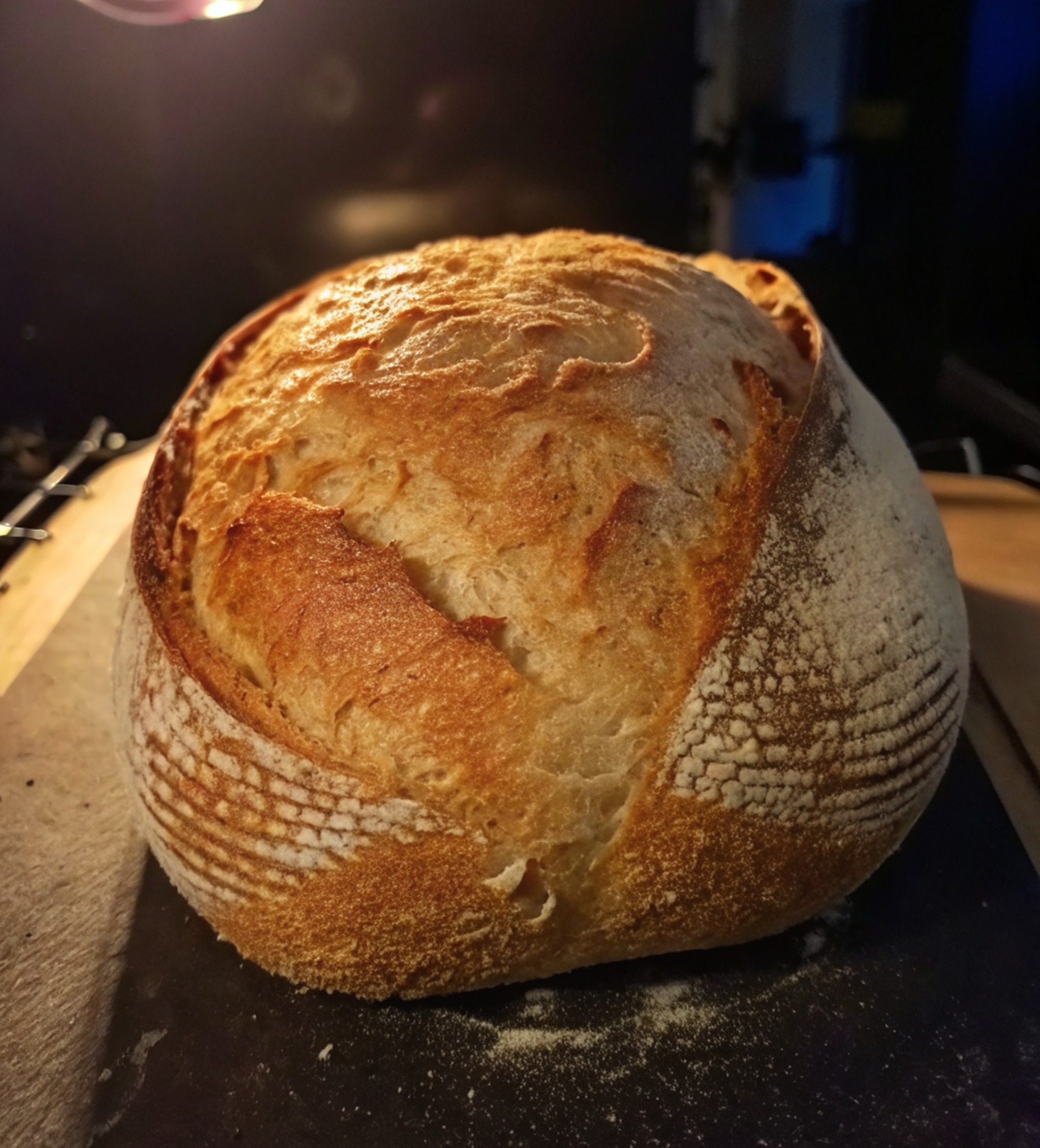 Brought dried starter from Canada to Hungary