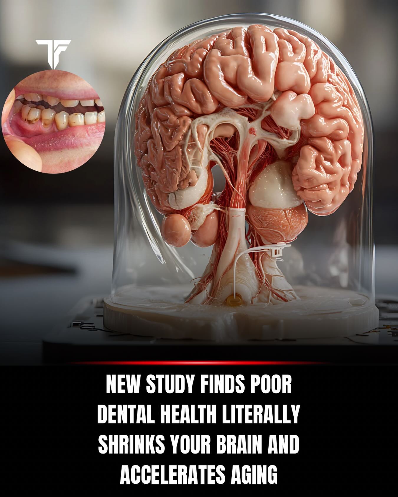 Thefarmacyreal - Recent research indicates a significant, and ...