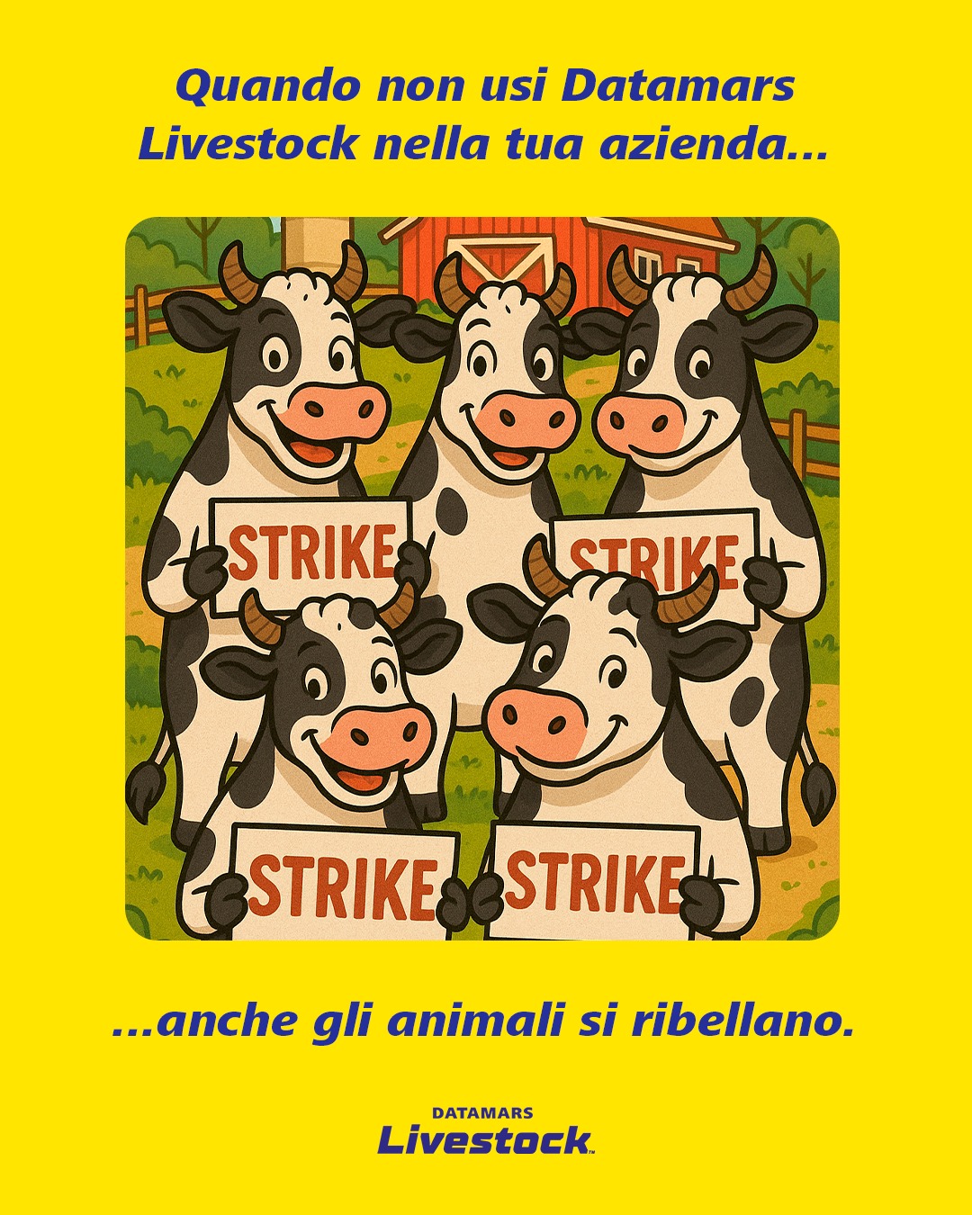 Datamars Livestock Italia | Covo