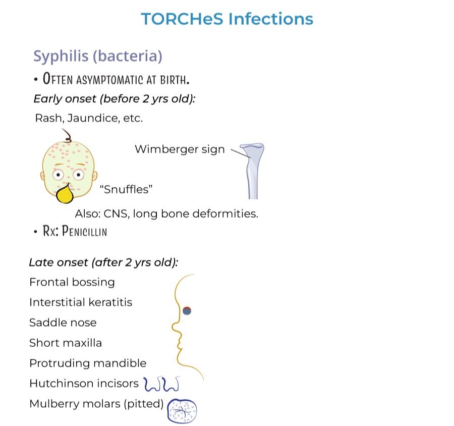 Medical Microbiology Group | Syphilis #microbiologylab #bacteriology # ...