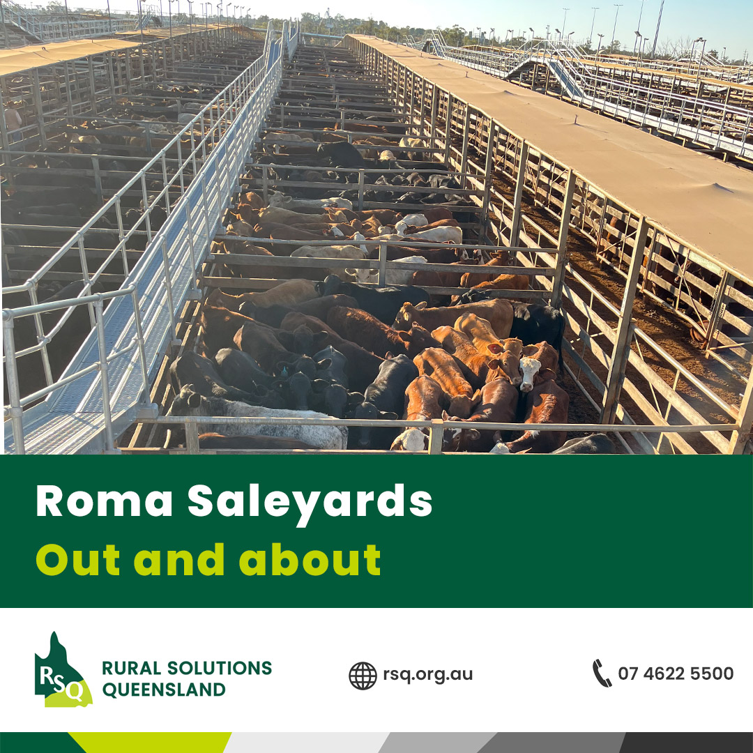 Rural Solutions Queensland | Roma QLD