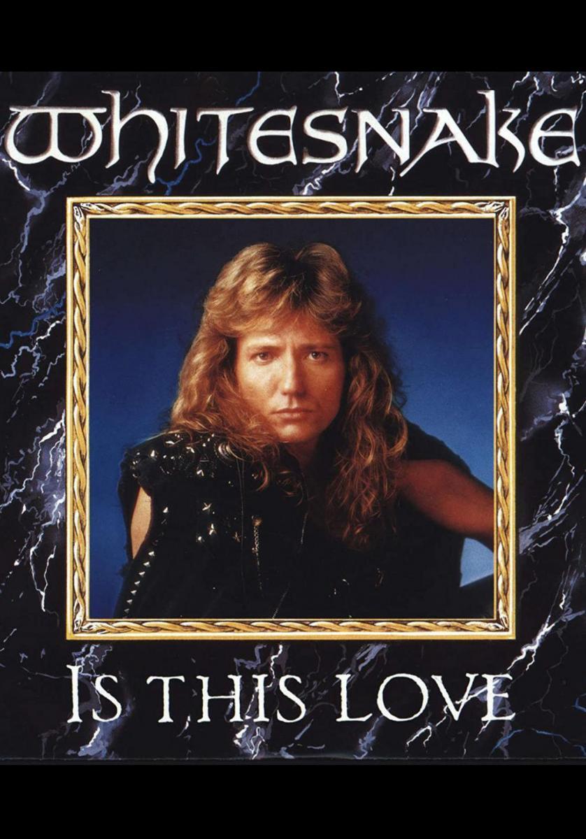 In 1987, Whitesnake had a Top 5 single with 