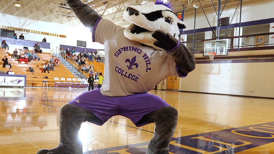 Spring Hill Class of 2036 | Facebook