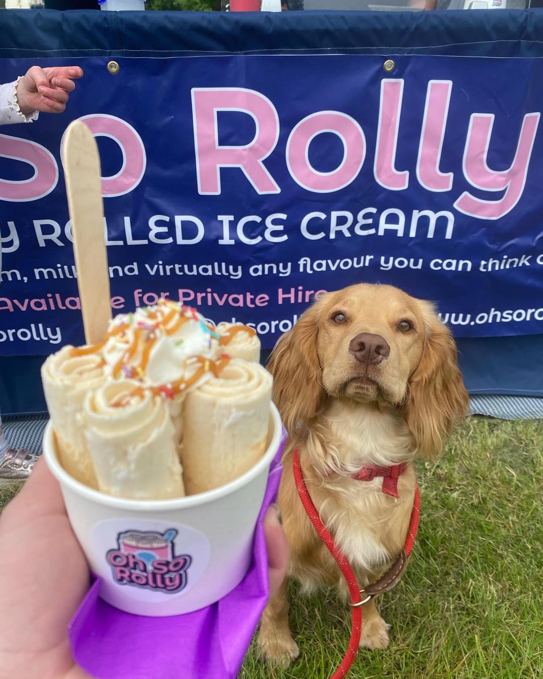 Oh So Rolly - 🚀 Countdown to the...