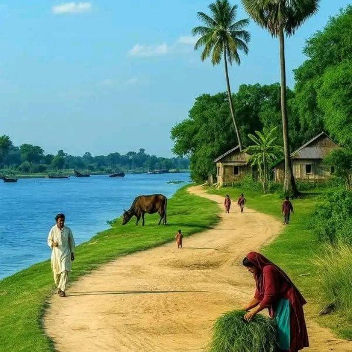 দাদা ভাই