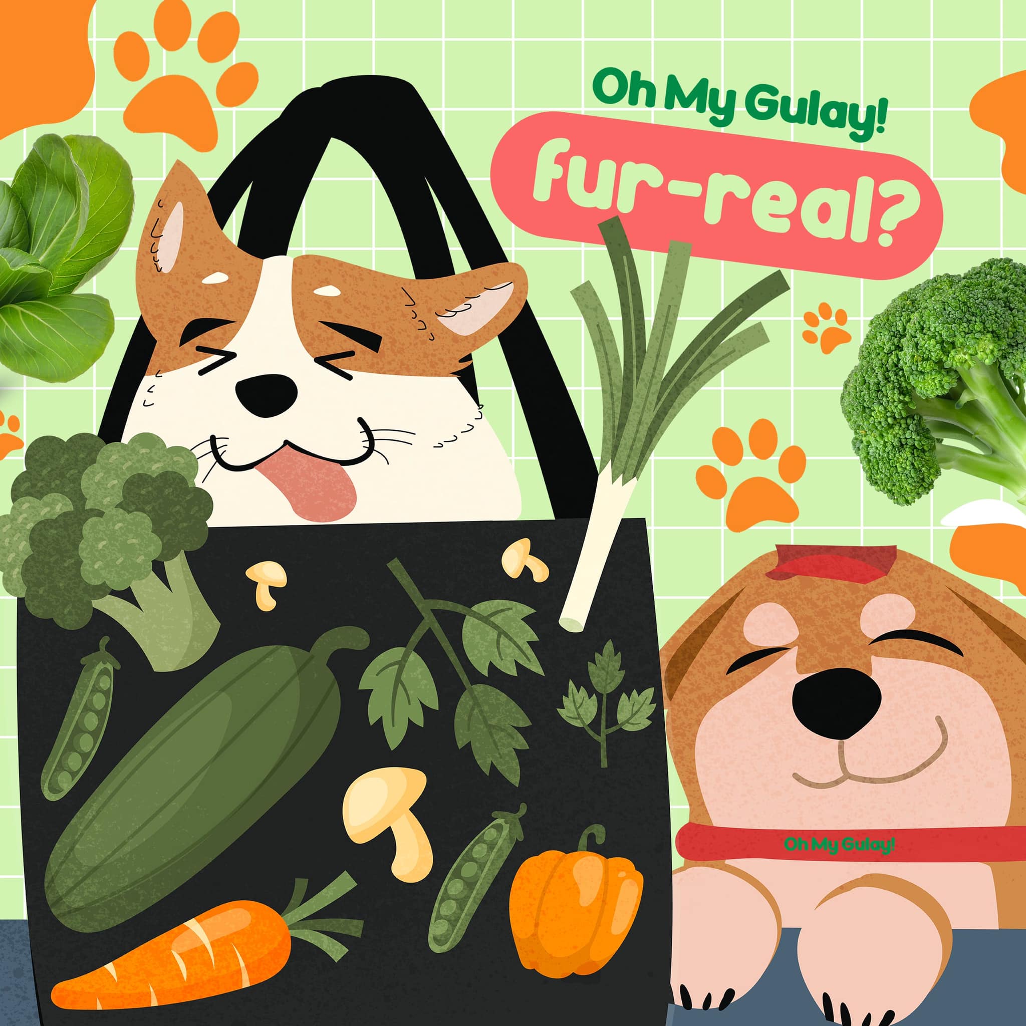 OMG Oh My Gulay