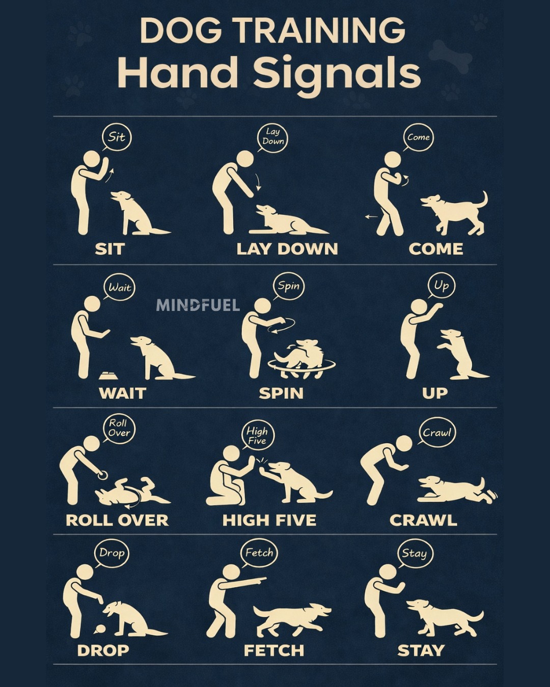 MindFuel - Dogs don’t just listen — they watch 🐶 Hand signals make ...