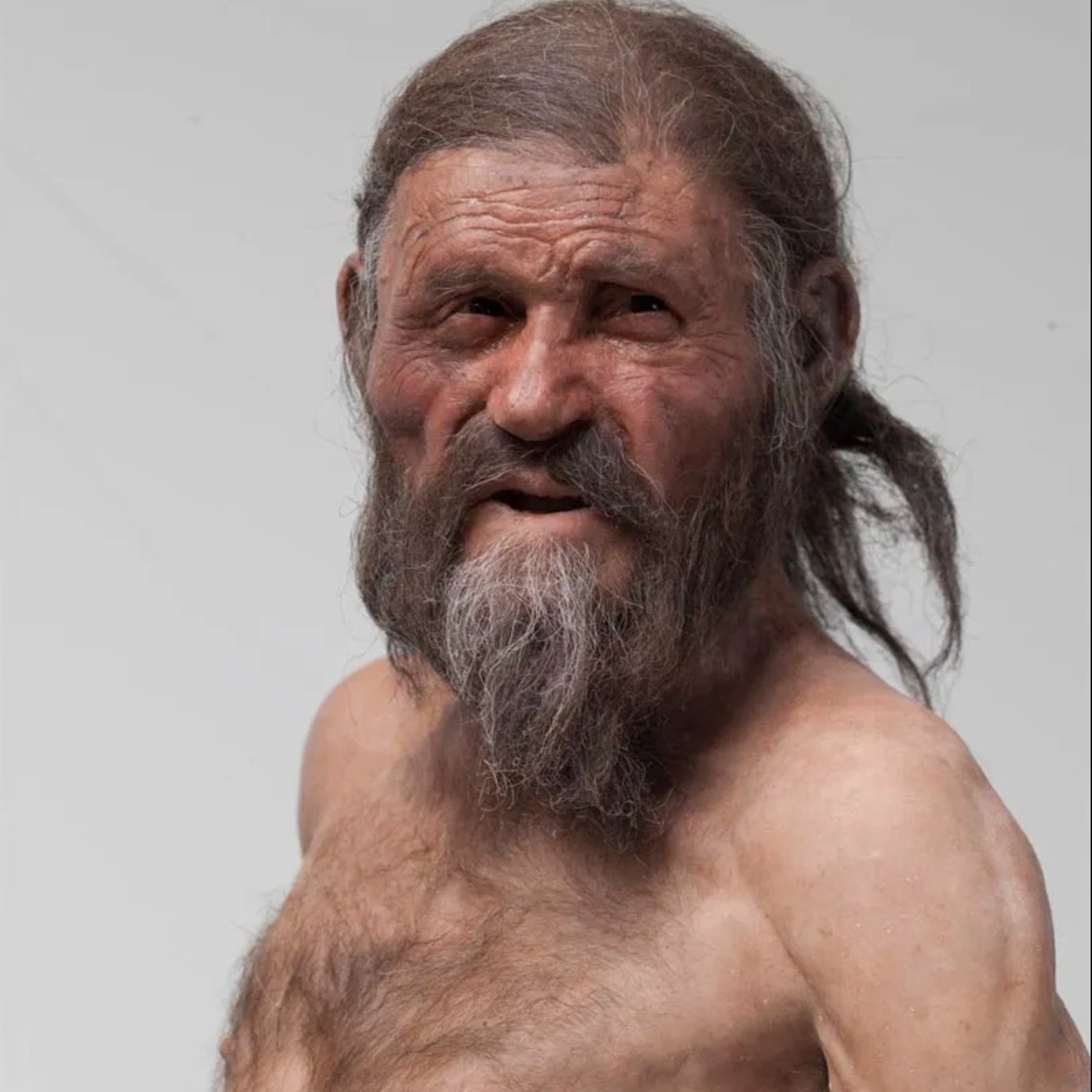 history-tzi-the-iceman-a-remarkably-well-preserved-5-300-year-old