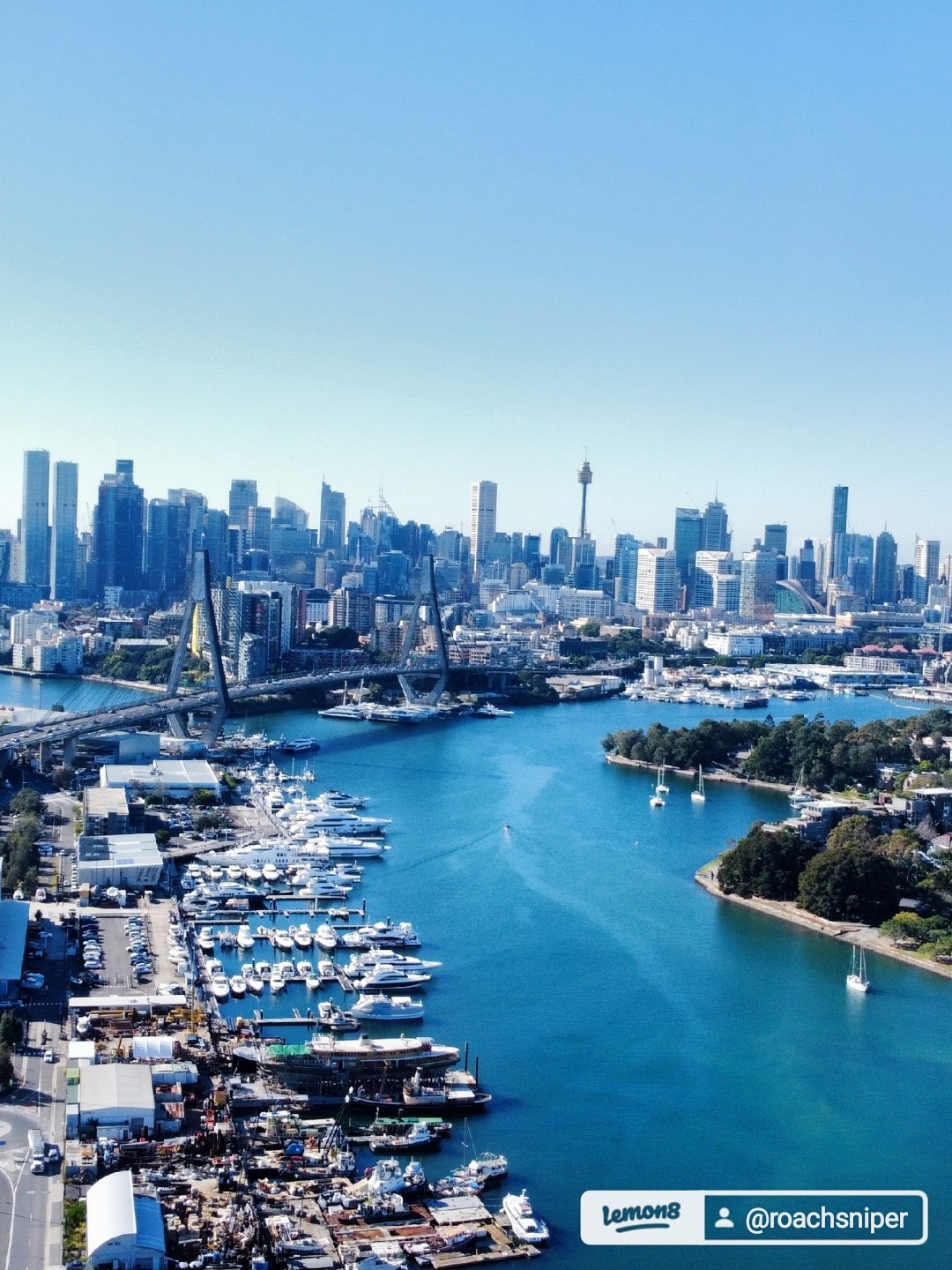 Roach sniper- pest control | Sydney NSW