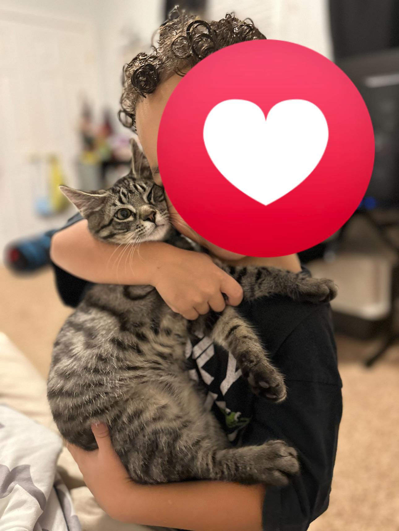 Meet Rocket — aka Rocky!... - Meraki Animal Rescue & Outreach | Facebook