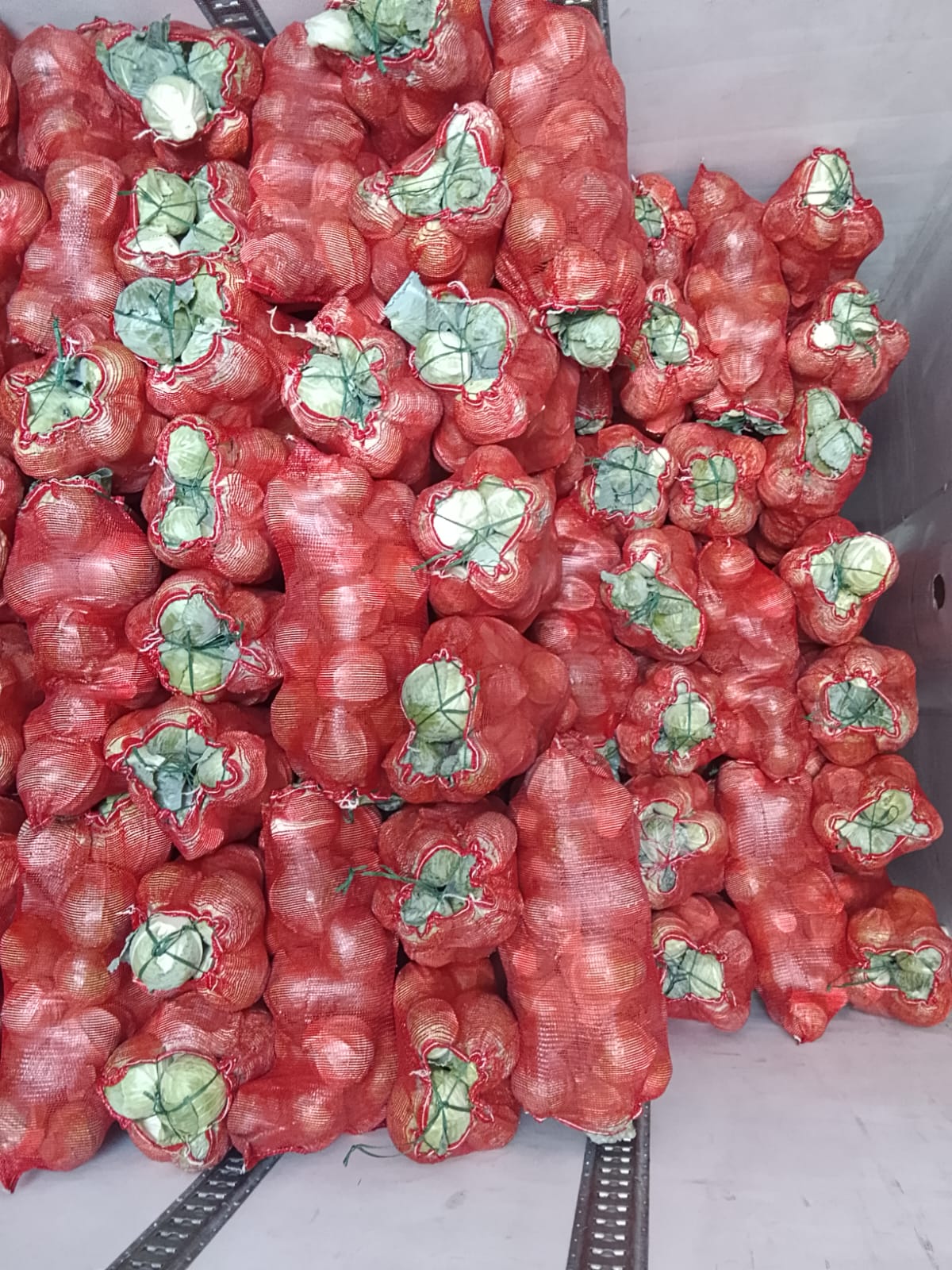 Ste RAEES GROUP - 🥬 Choux Marocains – Fraîcheur et... | Facebook