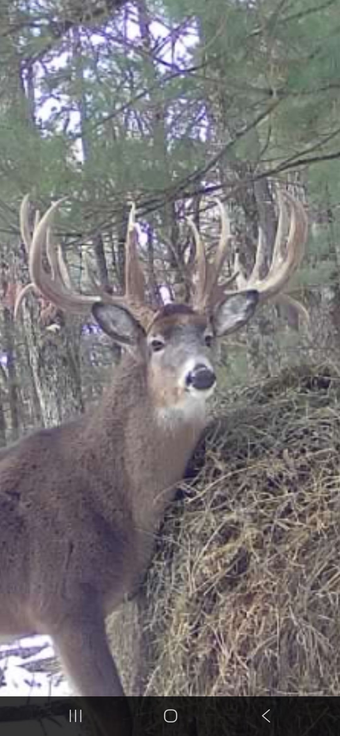 Crooked Tine Ranch